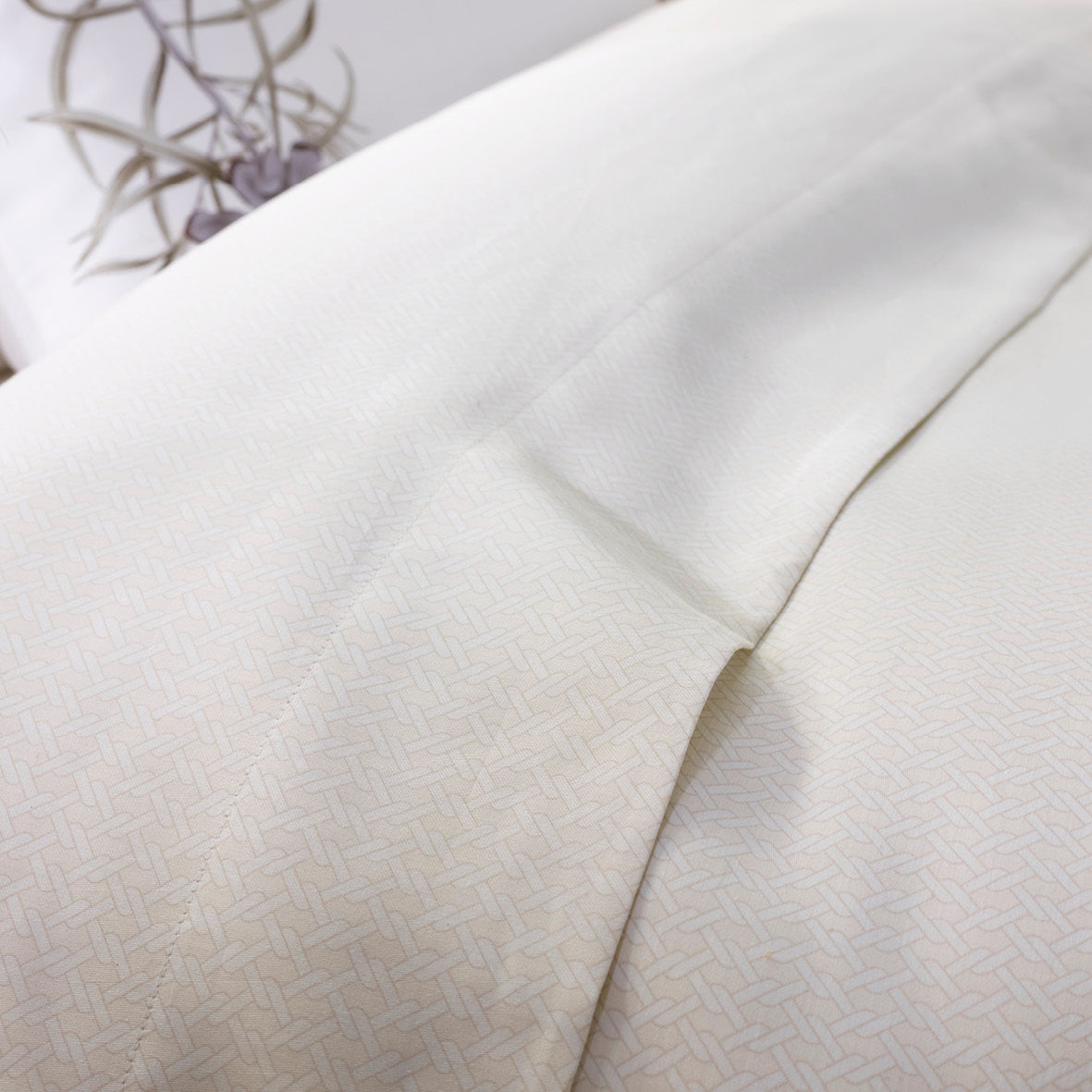 Drap-housse satin de coton - Garden Micro taupe - CXL by Christian Lacroix Maison