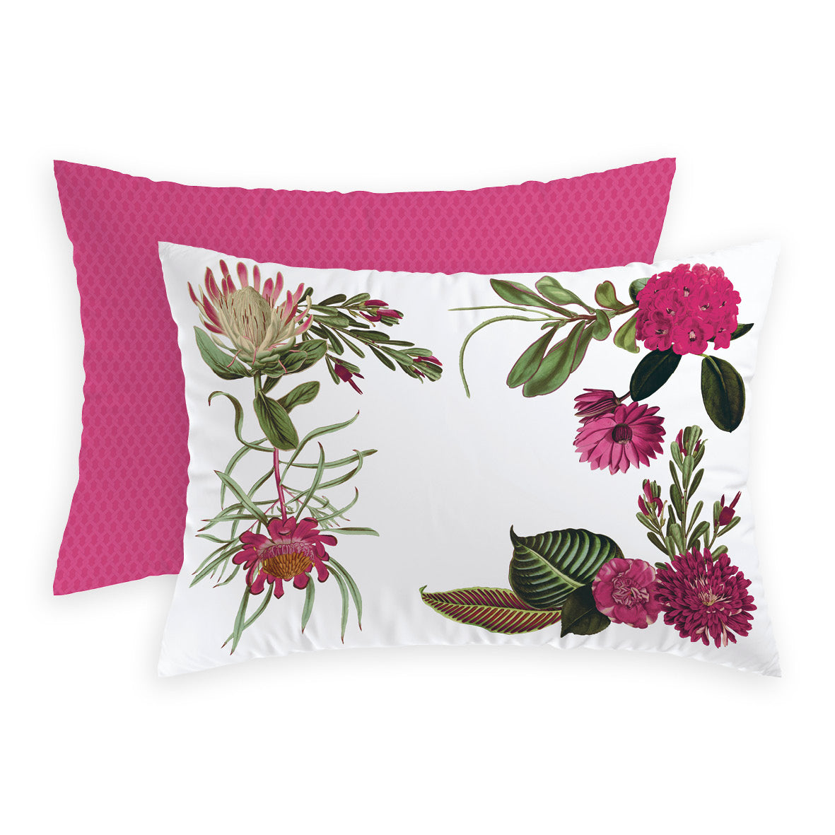 Taie(s) d'oreiller satin de coton - Garden fuchsia - 2 x (50 x 60 cm) - CXL by Christian Lacroix Maison